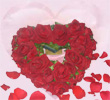 bissso a tout le monde